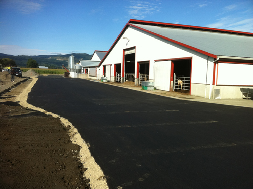 asphalt road on farm