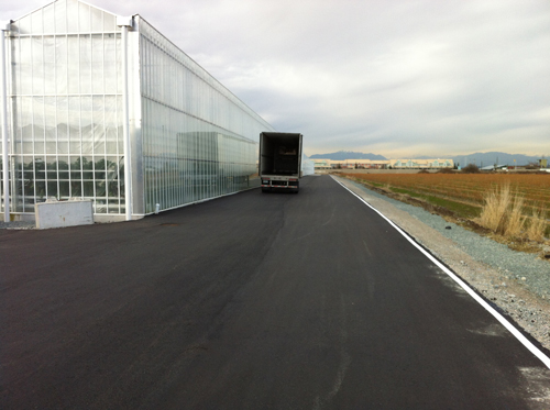 asphalt and agriculture