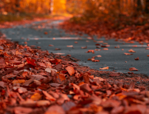 How To Maintain Asphalt In The Fall