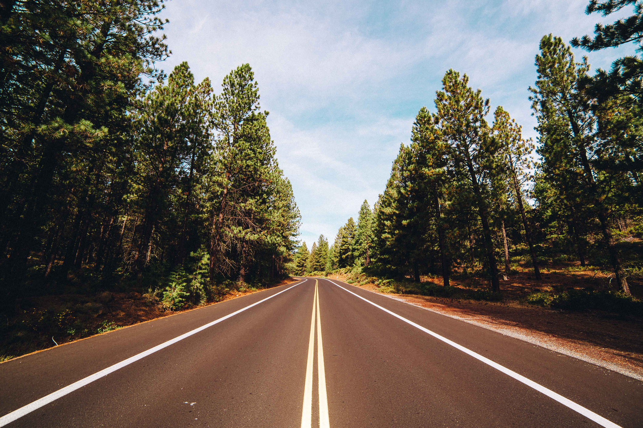 Wide angle view of an open road with trees on either side.